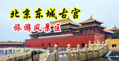 狂操丰满性感老女人肥穴内射浓精中国北京-东城古宫旅游风景区